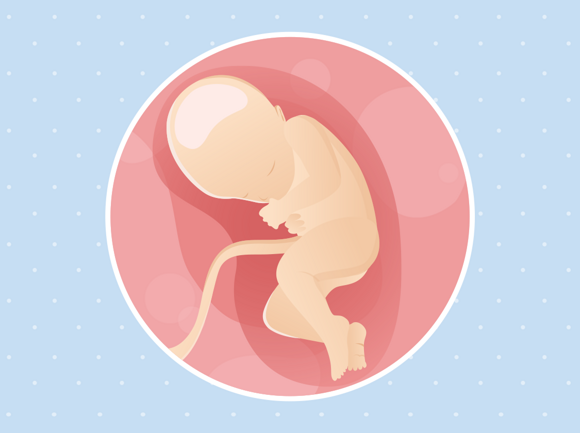32 tjedna trudnoće: razvoj bebe i prehrana