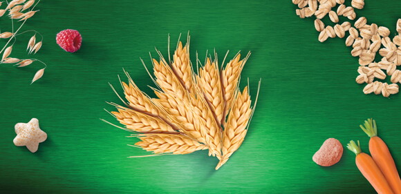 Gerber Organic Nutripuffs Grains