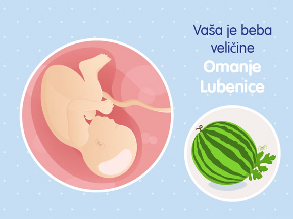 39-tjedana 39-tjedana